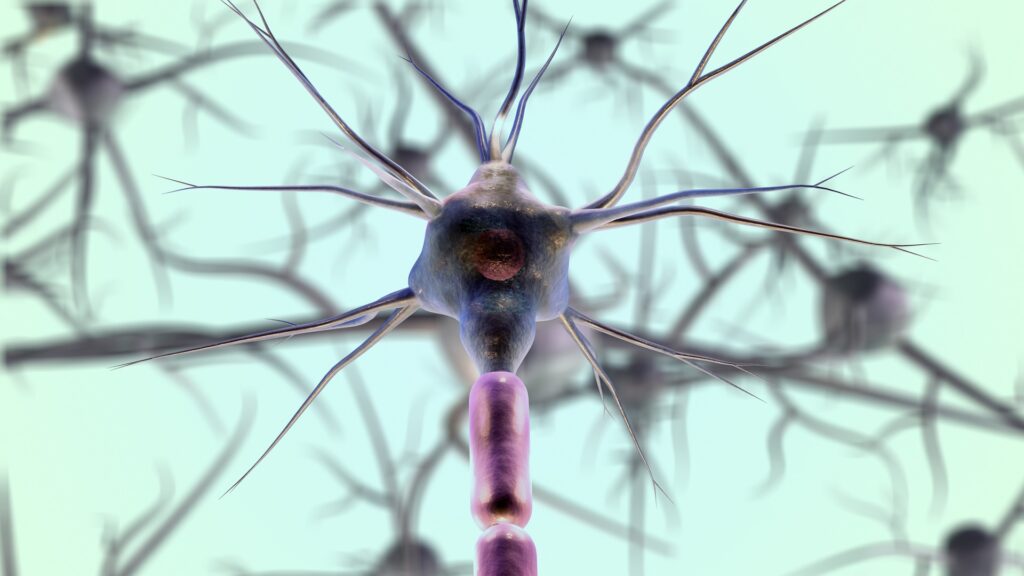 Neurophysiological Test for Politicians